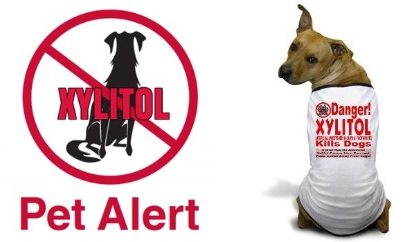 「XYLITOL」是木糖醇的英文，從這些警語和警示標誌中，不難了解國外替狗狗把關木糖醇的警覺性。 取自網路