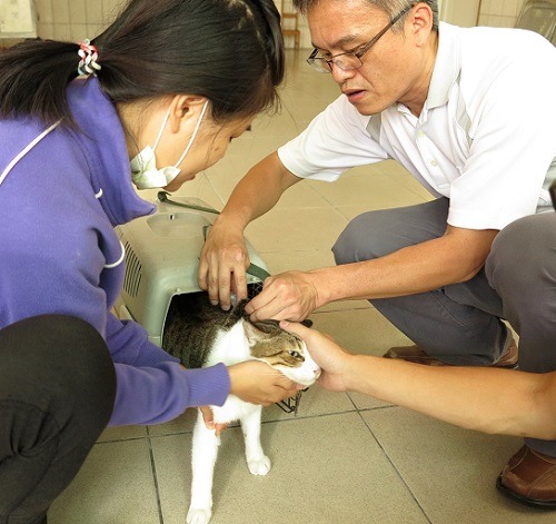 3個月齡以上的犬貓即可施打狂犬病疫苗。 蕭士塔/攝