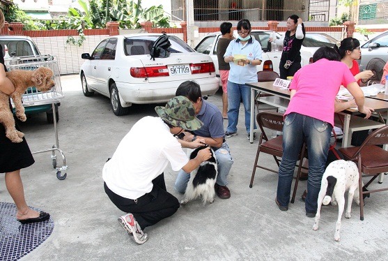 台灣內有鼬貛型狂犬病疫情，外有中國大陸、峇里島等疫區，各縣市早已積極展開狂犬病預防注射。 蕭士塔/攝