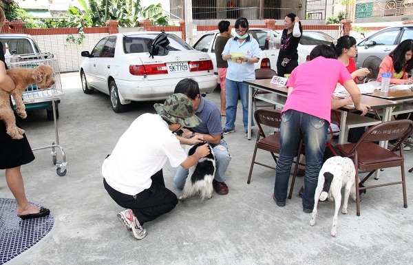 台南市動保處自7月22日起至11月底於偏鄉及山區辦理狂犬病巡迴預防注射。　蕭士塔/攝
