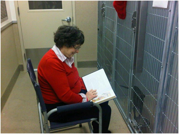 收容所對狗兒來說通常是一個充滿壓力的環境，任何能夠減輕該壓力的事物都有利於其福祉。 取自Sacramento County Animal Care