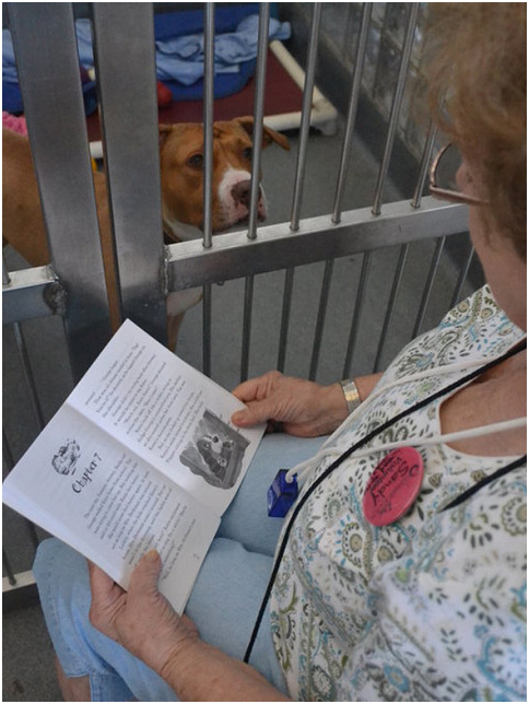 有些收容所會安排志工朗讀故事書給狗兒聽，英國哈特伯瑞學院的研究則顯示，在志工和經費不足的情況下，播放有聲書亦是有效的替代方案。 取自Bored Panda