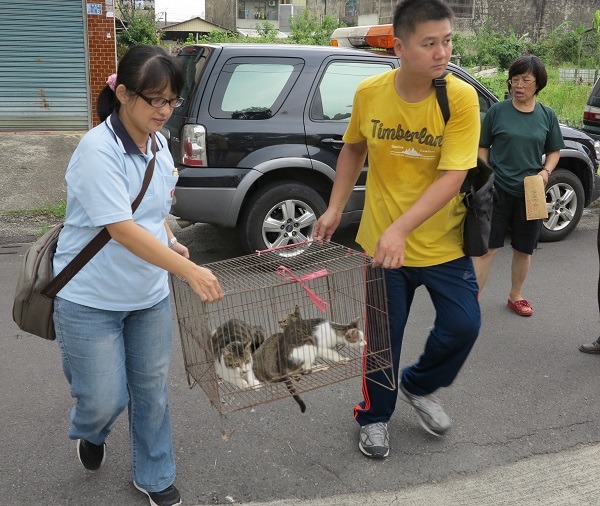 派駐公所獸醫師林慧貞(左)協助牧場主人帶貓前往結紮。蕭士塔/攝