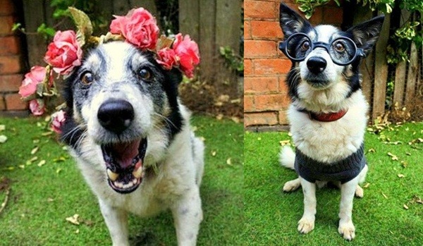 什麼叫做生氣盎然?就是這樣啦，扮什麼、像什麼。 取自網路