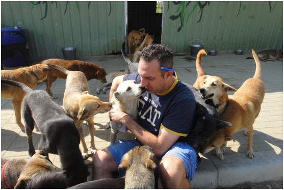 假日抽空到狗園幫忙的Michael席地而坐，和狗兒打成一片。  江幸芸/攝