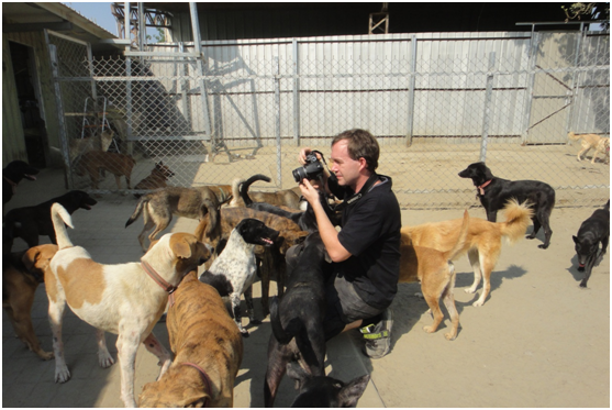 蘇格蘭人Paul到狗園幫狗狗拍送養照。  江幸芸/攝