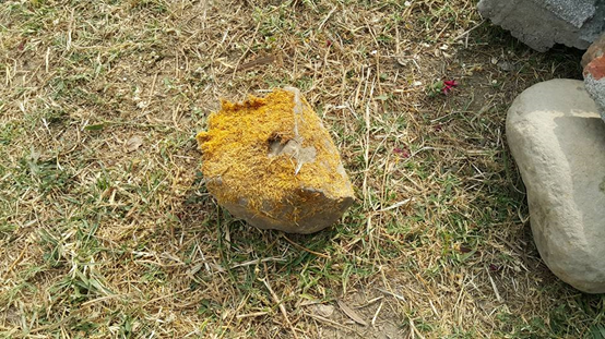 人工造景奇觀 : 連石頭上都貼苔草造假。陳尚宣/攝