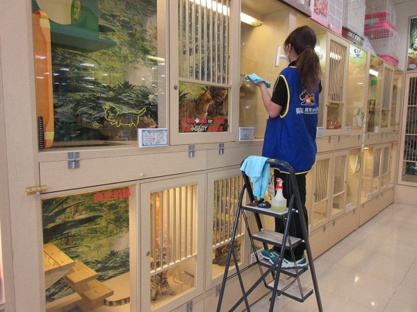 台南市動保處正辦理寵物業全面查核,寵物店、夜市、花市、攤販、網路都是查緝重點。 蕭士塔/攝