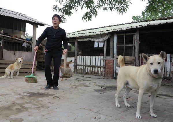 黃連發年事已高，對照顧82隻狗已感力不從心，但他會協助帶領認養人前往狗場看狗。　蕭士塔/攝