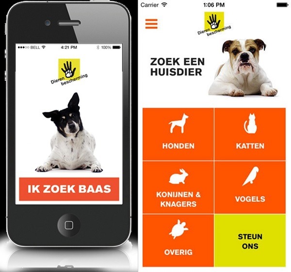 「荷蘭動物保護協會」為其收容中心的浪浪們特別設計了認養APP。取自荷蘭動物保護協會