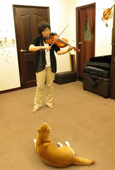 林佳霖練琴時，Yulie就躺在地板上聆聽。   蕭士塔/攝