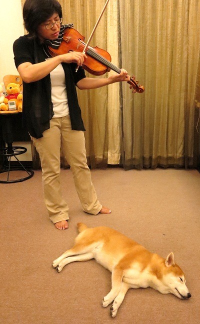 遇到演奏流暢的曲子，Yulie聽著聽著就睡著了。    蕭士塔/攝