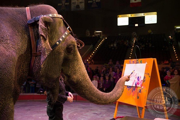 玲玲馬戲團的大象表演有多種形式。　取自玲玲馬戲團臉書