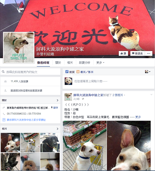 扮演公立收容所角色的「屏科大流浪狗中途之家」，去年積極送養流浪狗，一共送出了1613隻。   取自網路