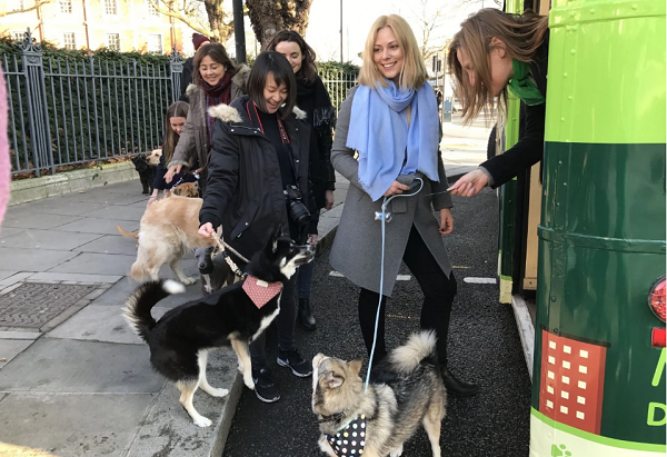 狗狗觀光巴士上路的第一天，吸引了60多位狗主帶毛孩來搭乘。 取自washingtonpost.com