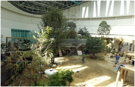 馬來西亞動物園的貓熊館早已準備妥當。  取自網路