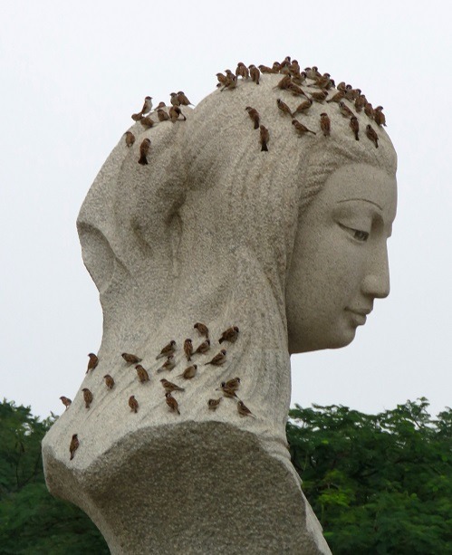 台南市安平港區的林默娘公園，半身的媽祖石雕像常短暫停滿麻雀。蕭士塔/攝