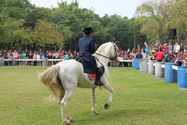 馬匹負重表演馬術很吃力，必須釘上馬蹄鐵以減少馬蹄磨損。  蕭士塔/攝