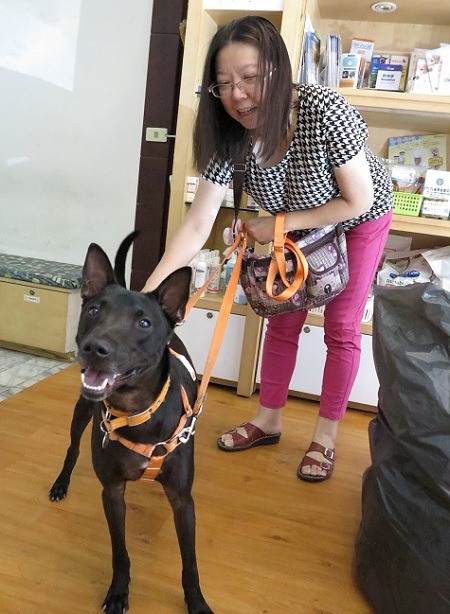 小乖媽是捐血人，相信捐血是利己利人的好事，對人、對動物都一樣。 蕭士塔/攝