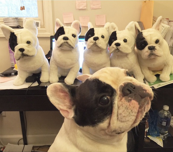 哇!面對這麼多分身，曼尼本尊在想什麼呢?   取自曼尼的Instagram