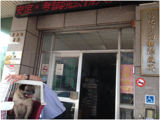 毛孩可協助你排憂解悶，但牠們也是極度需要陪伴的寵物。如果你不能負責任，不能好好照顧，千萬別輕易飼養！  陳隨意/提供