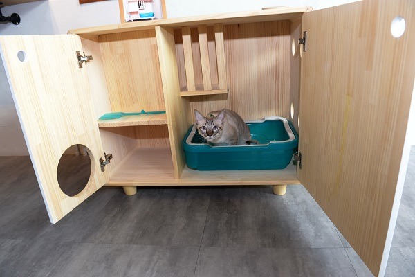 雙廁貓廁針對貓咪喜歡隱密的特性設計，而且讓貓在便便之餘，可以爬上爬下運動休閒一番。蕭士塔/攝