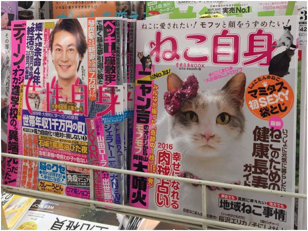 一般雜誌書（Mook）的初版發行量約7千～8千本，但光文社女性週刊《女性自身》2015年底推出的雜誌書《貓咪自身》首刷就印了5萬2千本，上市1個半月更創下9萬2千本的空前紀錄。 取自《貓咪自身》推特