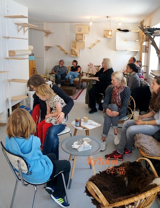 位於阿姆斯特丹的《摩蹭Kattencafe Kopje》貓咖啡店。 KiTchui/攝