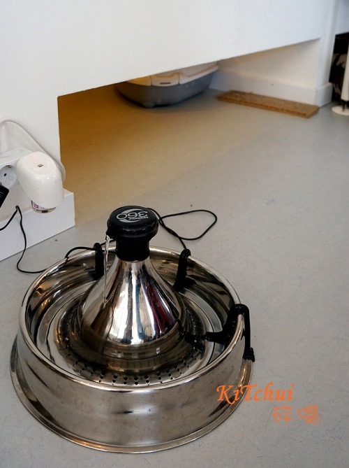 《摩蹭》貓咖啡店在牆面下方，設置貓專用出入口，讓他們想獨處時，可以有個休憩的空間。 KiTchui/攝