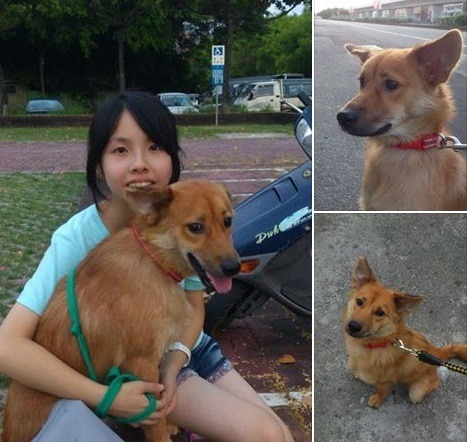 毛毛跟著新主人一起住在台中新家，看牠和小主人的合照是不是一臉幸福？  李駿瑀／提供