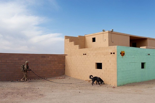 拉吉（Lucky）和牠的領犬員，在亞利桑那州訓練場尋找炸藥。  取自網路