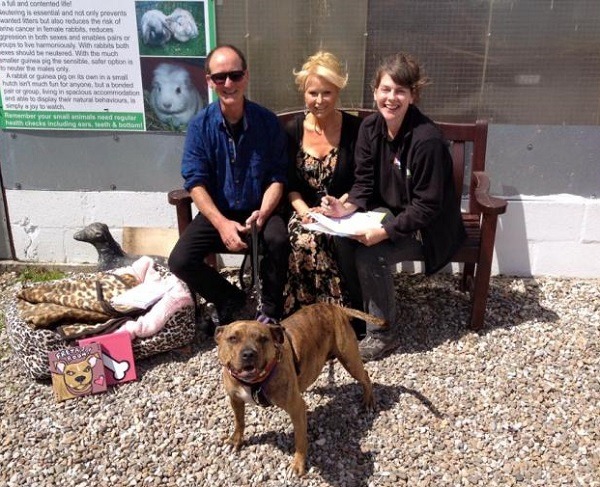 6歲的斯塔福郡鬥牛梗Freya,在收容所住了一輩子,這個月初終於有人看中牠,Ray及Jackie Collins夫婦(左)決心領養牠。 取自網路