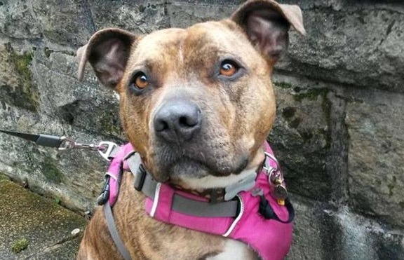 不再寂寞的Freya,應該可以告別這種哀怨的神情了! 取自網路