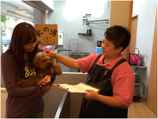 毛爸媽如果能和美容師建立長期合作關係,可以為毛孩的毛髮護理加分。