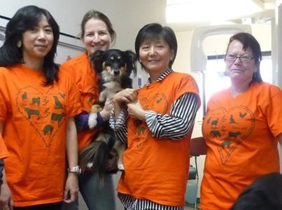 由旅美華人創辦的「多多關懷動物基金會」，一心要終止廣西的玉林狗肉節。   鞏增恆/提供