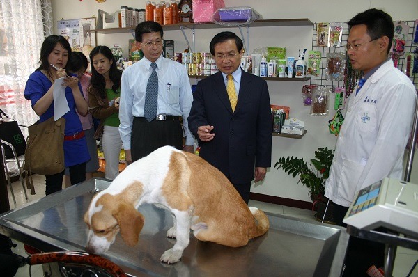 米格於2007年受傷住進動物醫院接受復健，當年的台南市長許添財特別前往探望。 蕭士塔/攝