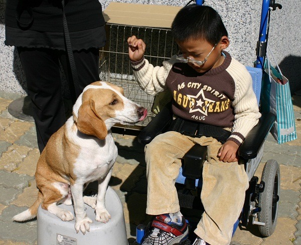 米格是德蘭啟智中心院生們的好朋友。蕭士塔/攝