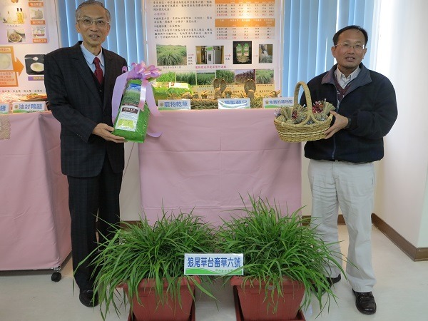 畜試所1月26日舉辦「毛小孩最愛的寵物草──狼尾草台畜草六號」記者會。蕭士塔/攝