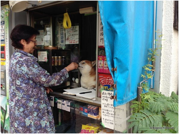 鈴木香菸店的老闆娘和小柴。 取自ichigoichielove