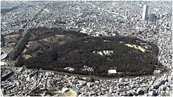 東京都澀谷區的明治神宮占地70公頃，其中9成森林是神明居住的「神域」，近百年來禁止遊客進入。 取自日本放送協會