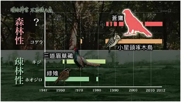 根據1947年起的鳥類觀察紀錄，綠雉（Phasianus versicolor）和三道眉草鵐（Emberiza cioides）自80年代消失，小星頭啄木鳥（Picoides kizuki）和蒼鷹（Accipiter gentilis）等林棲鳥種則逐漸增加，甚至在此繁殖。 取自日本放送協會