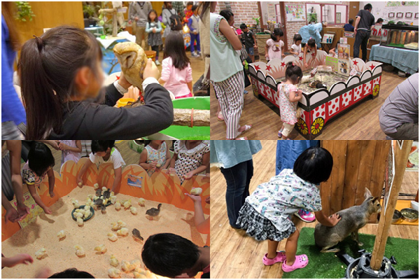 動物任人觸摸，即便是倉鴞這類夜行性動物也不斷被打擾，不得休息。 取自網路