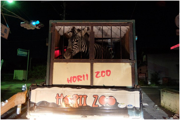 移動式動物園的動物經常要面對長途運輸、陌生環境，以及不規則的飲食和作息。 取自福壽海無量