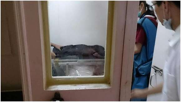 從玉井到新化,最後找到永康「長弘動物醫院」終於能為小黑做醫療救治。 台南楠西國中/提供