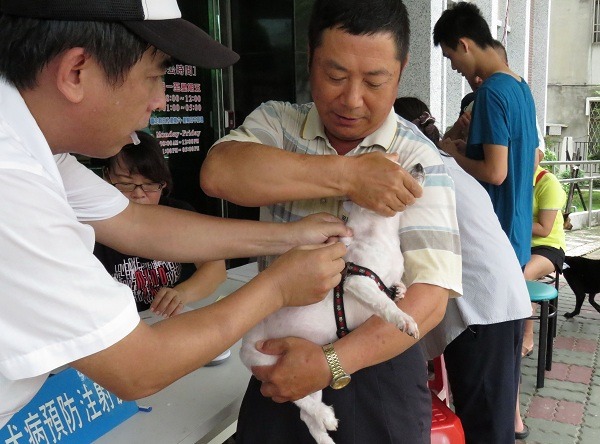 為避免蝙蝠傳播狂犬病毒，請飼主定期為犬貓施打疫苗。蕭士塔/攝