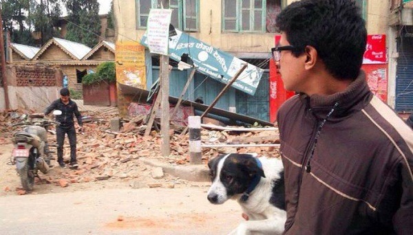 尼泊爾強震導致人民傷亡慘重,為了救援災區的受難動物,國際人道協會動物救援隊已待命出動。 取自Time of India