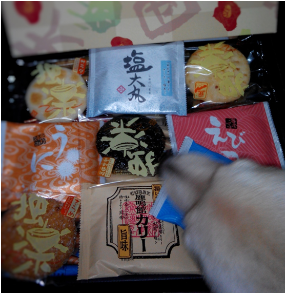 寵物很難自我控制不受食物誘惑，家裡的年貨，零食一定要收放妥當。 瑭芯/攝