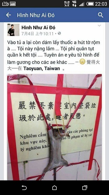 這張PO在臉書上的虐待老鼠照片，看來應是發生於台灣的工廠。 取自網路