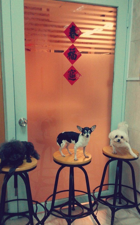 左起: Brownie、小螞蟻、小泡芙3位腳印畫家，祝大家羊年行大運！