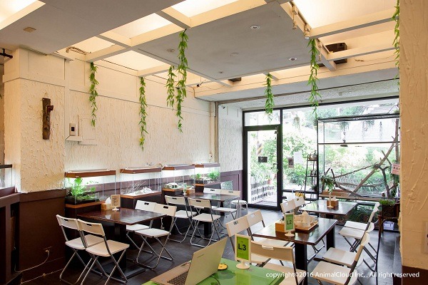 店內座位足夠,非常適合團體聚會,並會不定期舉辦講座。